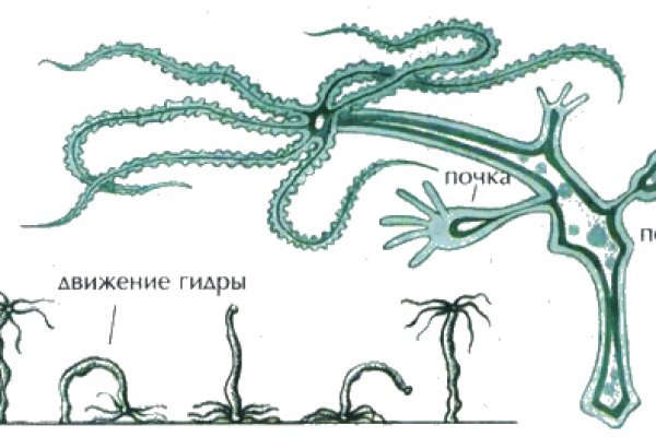 Кракен это современный маркетплейс