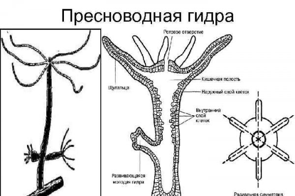 Кракен даркнет зайти