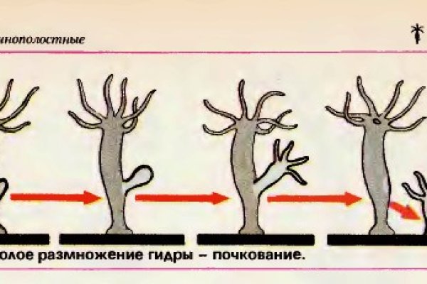 Как найти официальный сайт кракен