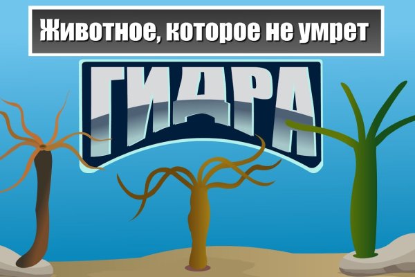 Вывести деньги с кракена